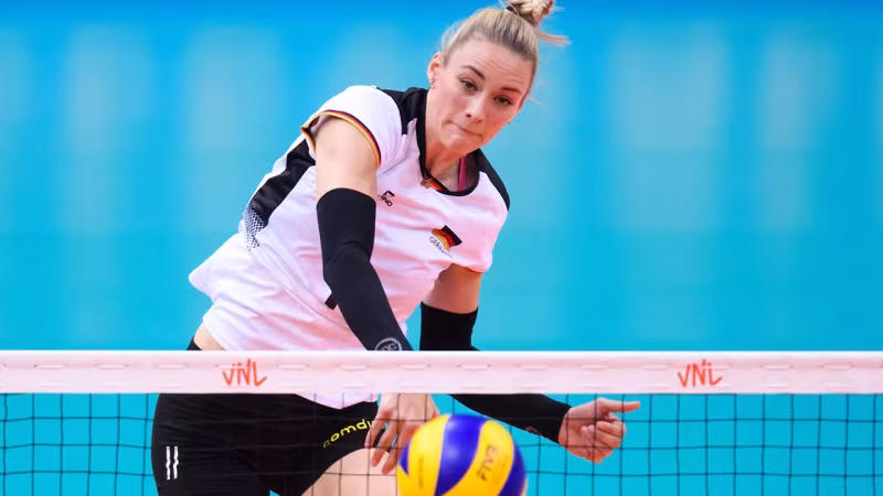 Schmetterlinge setzen Höhenflug fort