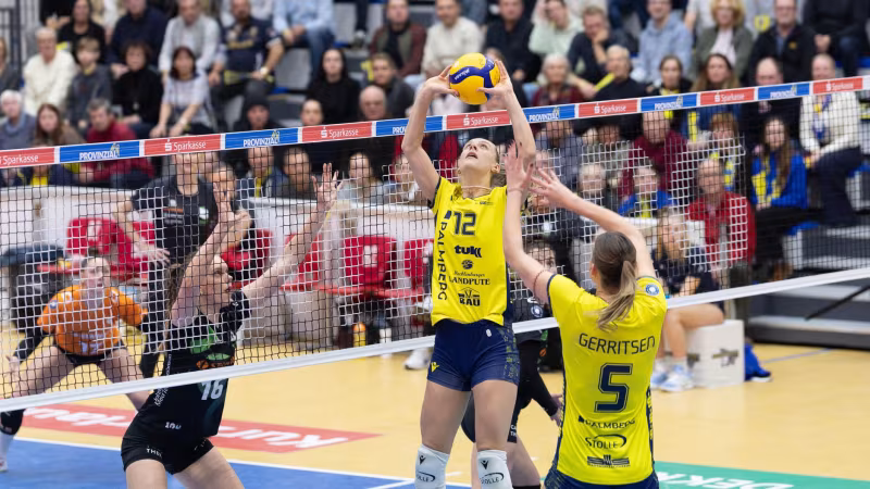 Auftakt im Titelkampf: Start der Playoffs in der 1. Bundesliga Frauen