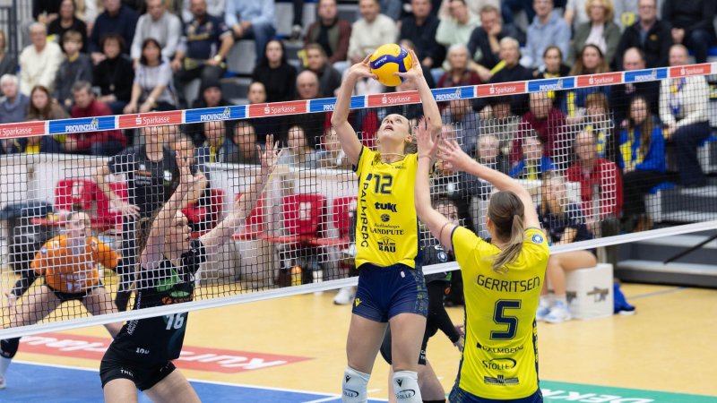 Auftakt im Titelkampf: Start der Playoffs in der 1. Bundesliga Frauen